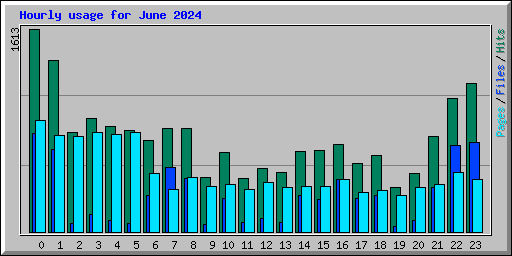 Hourly usage for June 2024