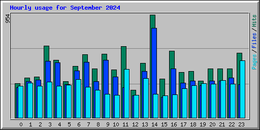 Hourly usage for September 2024