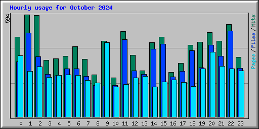 Hourly usage for October 2024