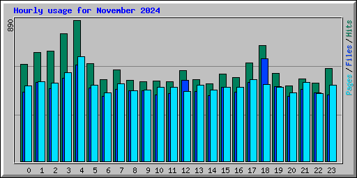 Hourly usage for November 2024