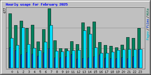 Hourly usage for February 2025