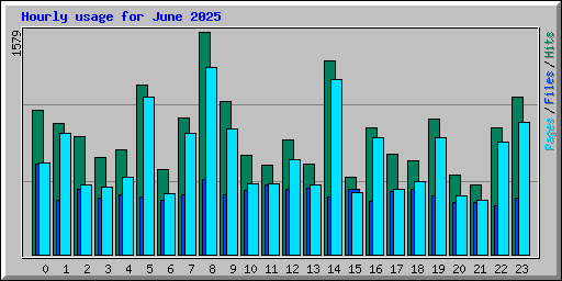 Hourly usage for June 2025