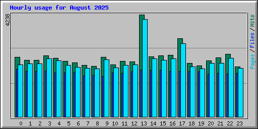 Hourly usage for August 2025