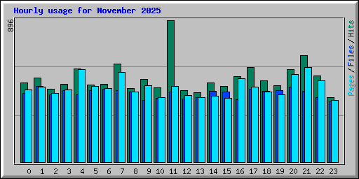 Hourly usage for November 2025
