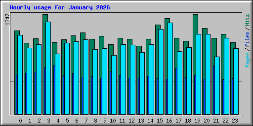 Hourly usage for January 2026