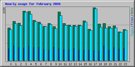 Hourly usage for February 2026
