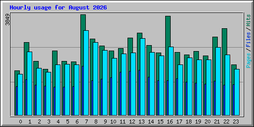 Hourly usage for August 2026