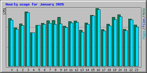 Hourly usage for January 2026