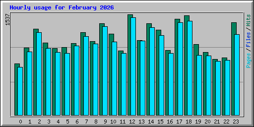 Hourly usage for February 2026