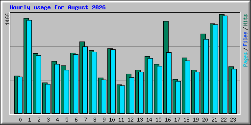 Hourly usage for August 2026